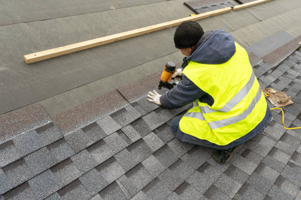 Best Roof Gutter Cleaning  in Fort Pierce, FL